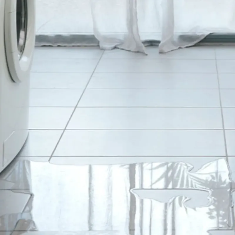 Appliance Leak Cleanup in Streamwood, IL