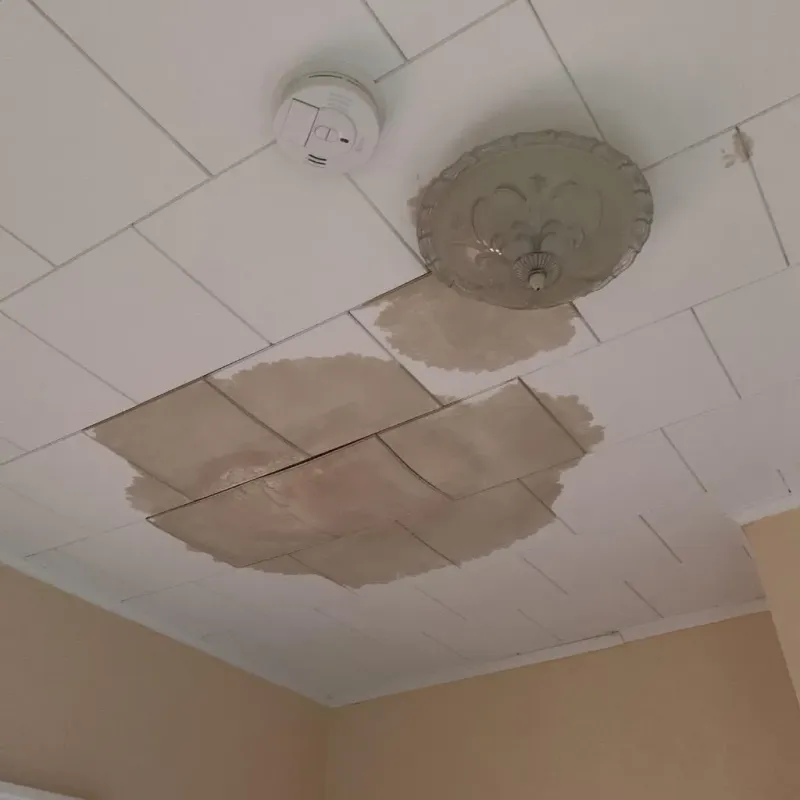 Ceiling Water Damage Repair in Streamwood, IL