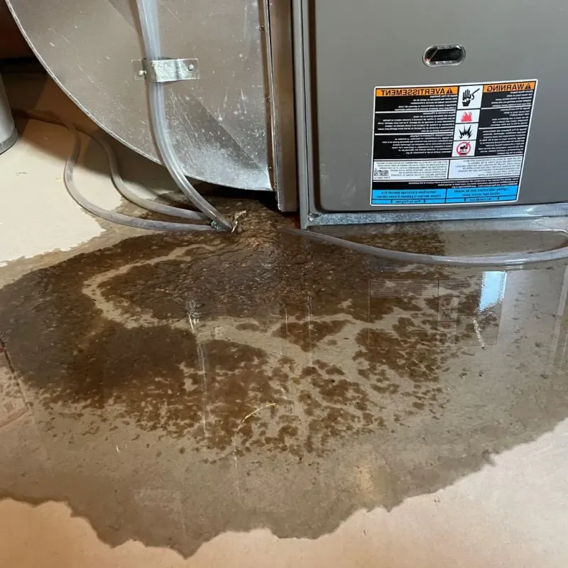Pipe Burst and Leak Restoration in Streamwood, IL